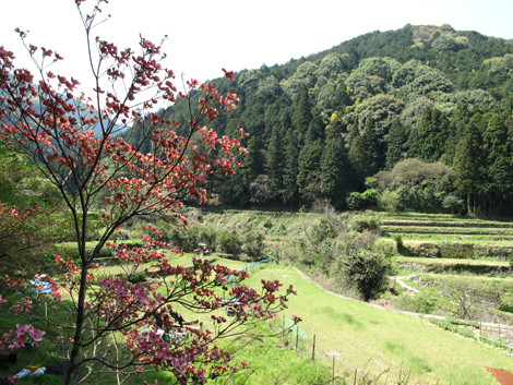 20140419hike (10)